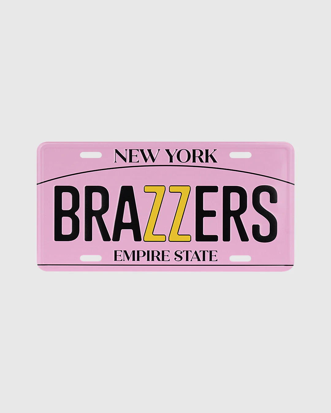 License Plate New York - Image 5