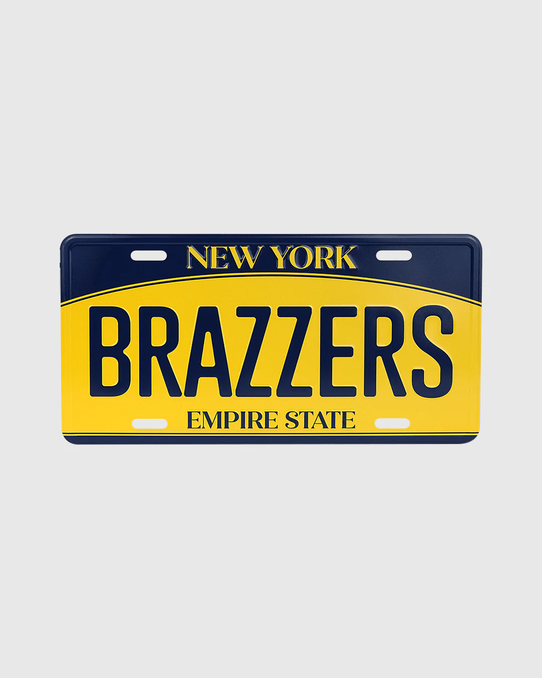 License Plate New York - Image 4