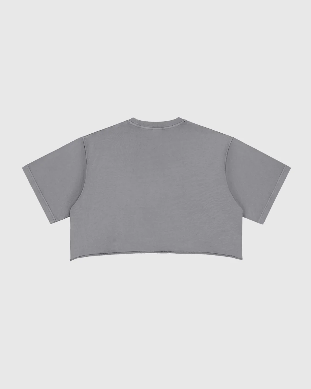 Women's Snow Washed Raw Edge Crop Tee - Image 4
