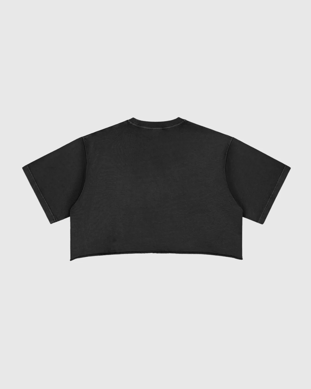 Women's Snow Washed Raw Edge Crop Tee - Image 5